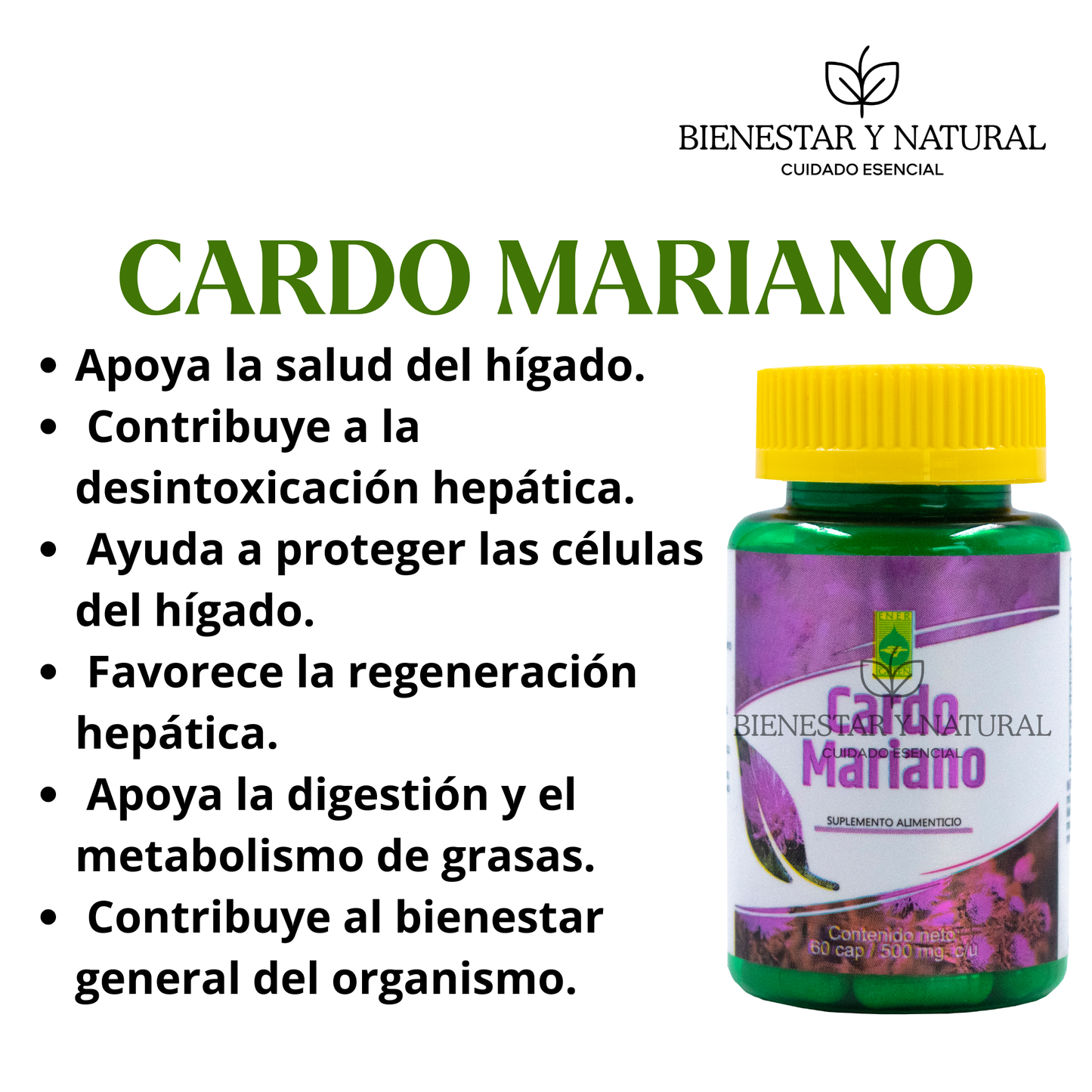 Cardo Mariano c/60 cápsulas