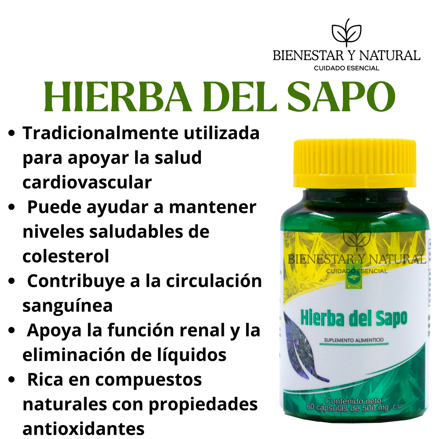 Hierba del Sapo c/60 cápsulas