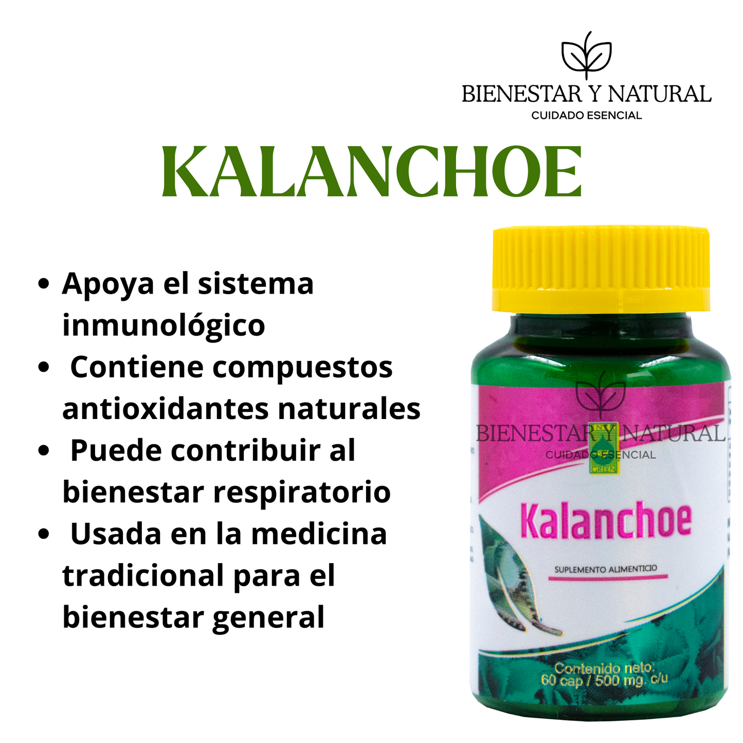 Kalanchoe c/60 cápsulas