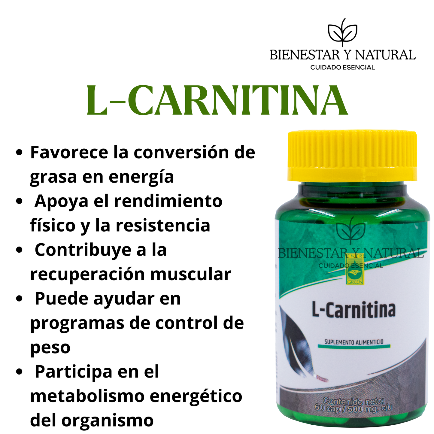 L-Carnitina c/60 cápsulas