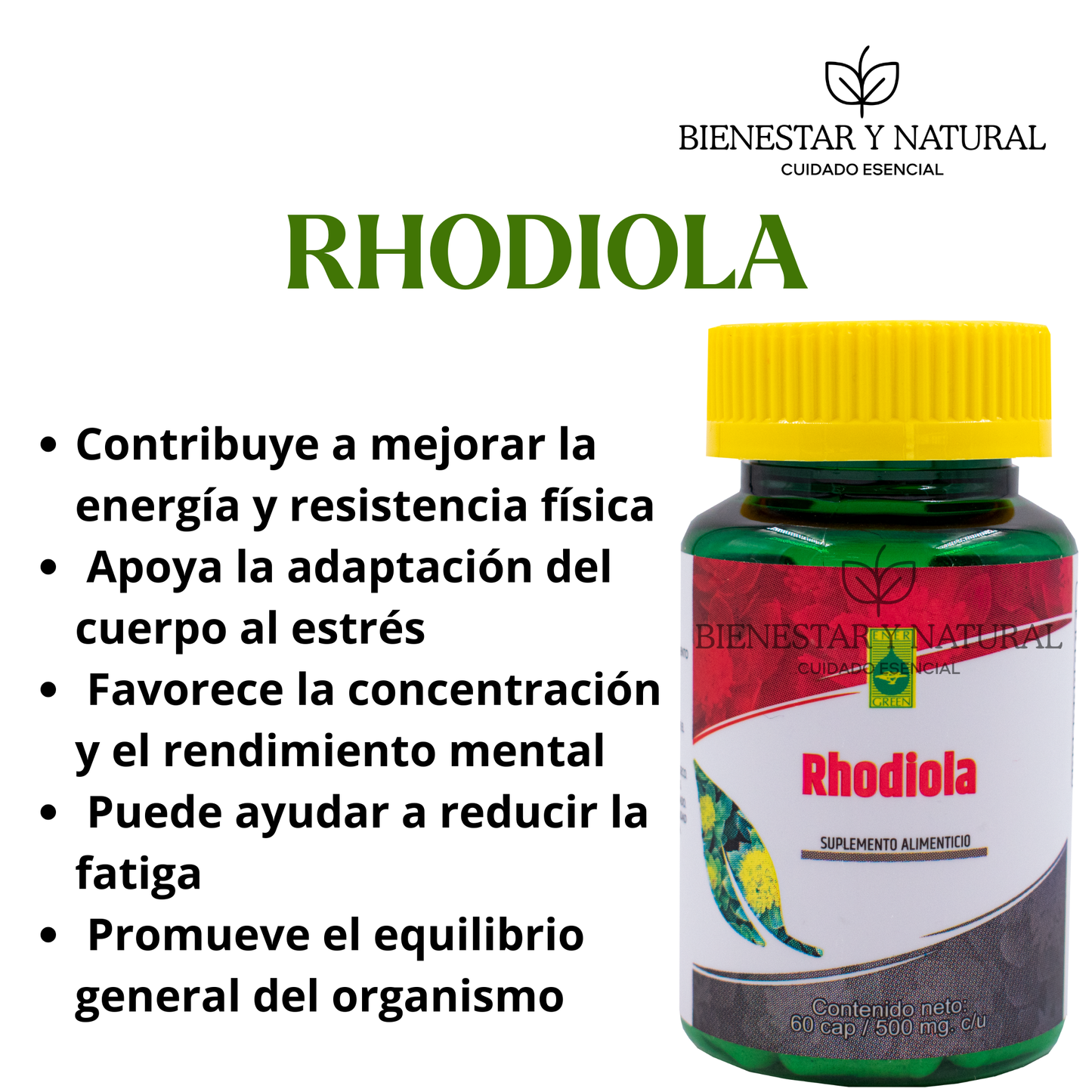 Rhodiola c/60 cápsulas